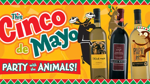 Cinco de Mayo Case Card