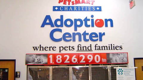 PetsMart's Previous Adoption Center