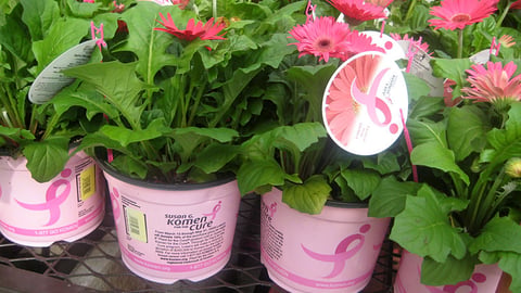 Lowe's 'Plant for the Cure' Packaging