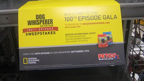 Dog Whisperer Sweeps Shelf Tag