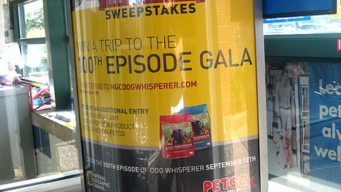 Dog Whisperer Sweeps Stanchion Sign