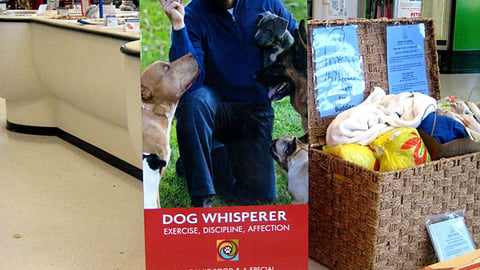 Petco Cesar Millan Sign