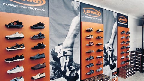 Lizard Wall Display