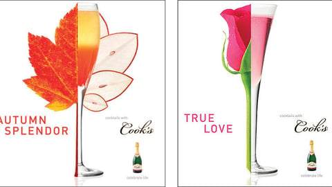 Cook's Fall, Valentine's Day Case Cards