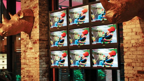 eckoTV Network Wall