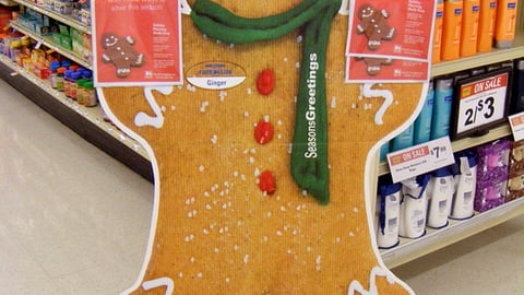 Food Lion 'Celebrate' Standee