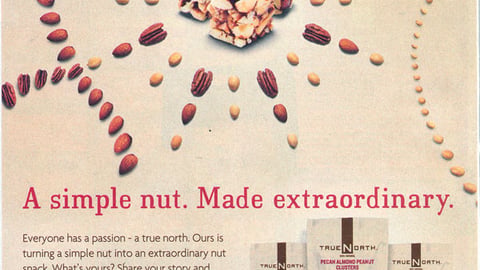 True North 'Extraordinary' FSI
