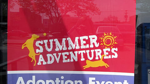 Petco 'Summer Adventures' Poster