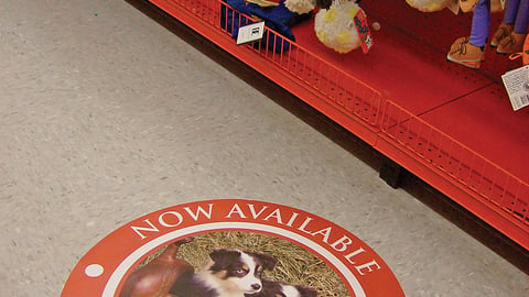 Boost Pet Food Floor Cling