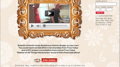 True Value 'Design SOS' Online Ad