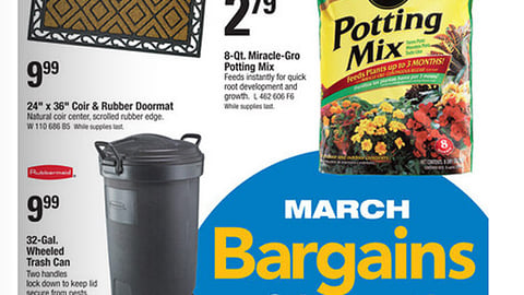 True Value 'March Bargains' Feature