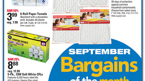 True Value 'Bargains of the Month' Feature