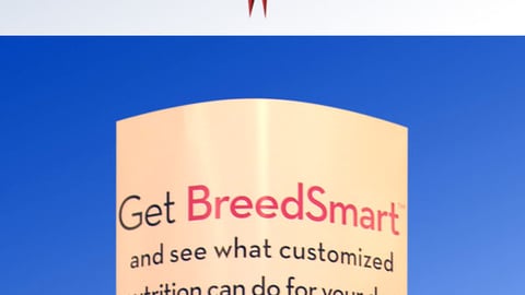 Eukanuba Standee