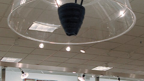Sound and Scent Delivery System