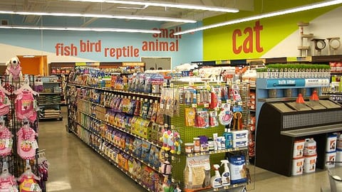 Unleashed By Petco Interior
