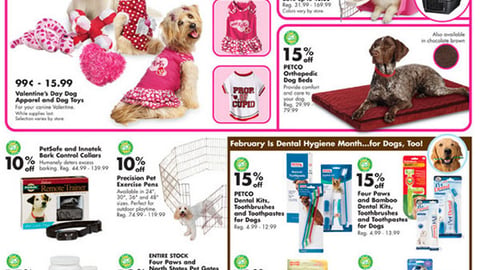 Petco Valentine's Day Feature