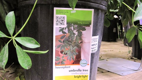 Home Depot Potted Plant Hangtag