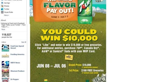 Food Lion 7UP 'Great Flavor Pay Out' Facebook Tab