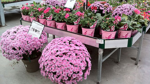 Lowe's 'Plant for the Cure' Merchandising