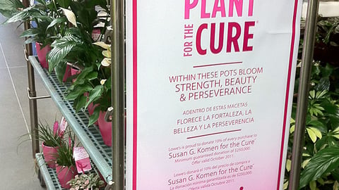 Lowe's 'Plant for the Cure' Sign