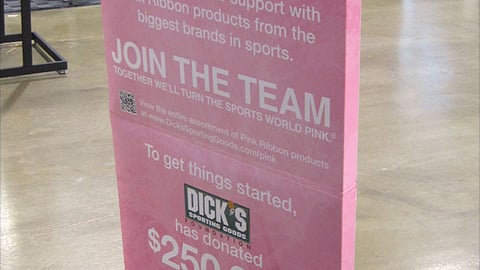 Dick's 'Power of Pink' Stanchion Sign