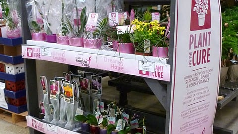 Lowe's 'Plant for the Cure' Rack
