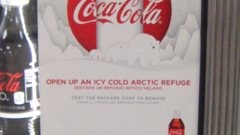 Coca-Cola 'Arctic Home' Cooler Cling