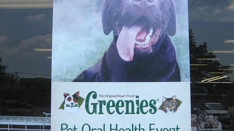 Petco 'Summer Adventures' Window Poster