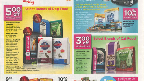 Petco 'Summer Adventures' Feature