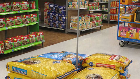 Walmart Pedigree Pallet