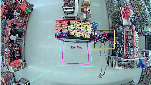 Family Dollar ShopperGauge Video Analysis