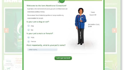 Iams' Website Marketing