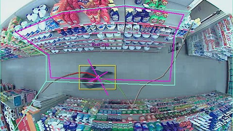 Family Dollar ShopperGauge Video Analysis