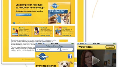 Pedigree Digital Marketing Collateral