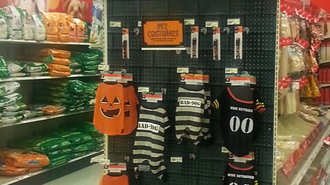 Target 'Pet Costumes' Endcap