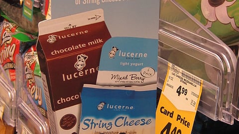 Dominick's Lucerne 'Paint a Cow' Violator