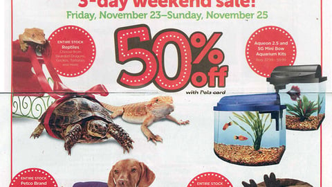 Petco 'Crazy About Pets' Feature
