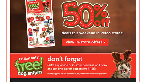 Petco 'Happy Thanksgiving' Email