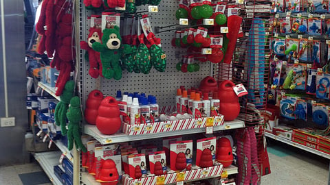 Petco Kong Holiday Endcap