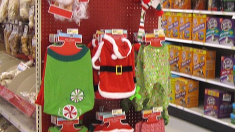 Target Holiday Pet Endcap