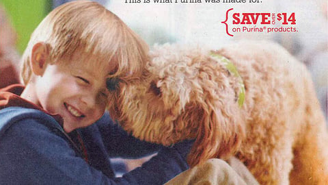 Purina 'Little Moments. Big Love' FSI