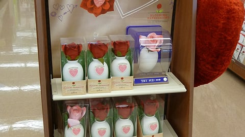Hallmark 'Blooms' Endcap