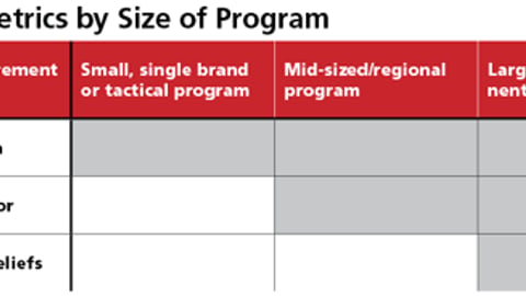Shopper Metrics by Size of Program