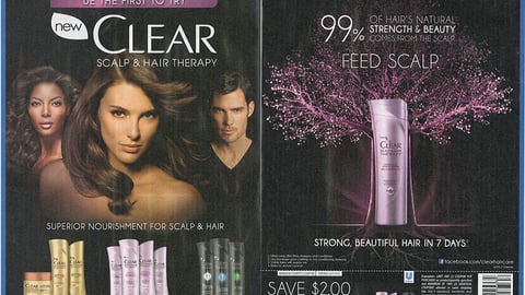 Clear Introductory FSI