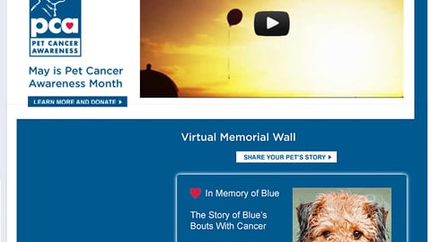 Petco Blue 'Pet Cancer Awareness' Facebook Page