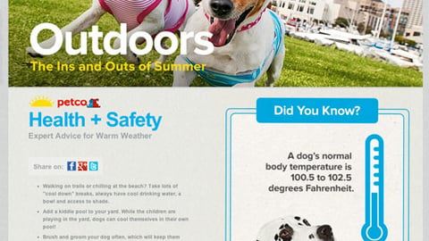 Petco 'Everything Under the Sun' Website