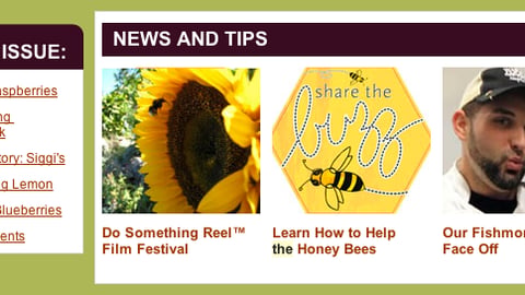 Whole Foods 'Share the Buzz' Email
