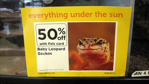 Petco 'Everything Under the Sun' Shelf Sign