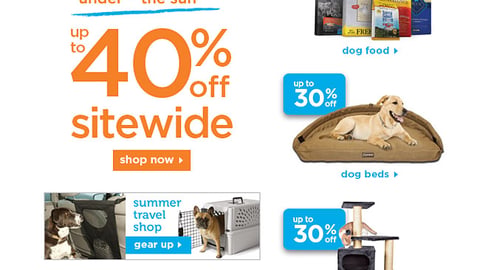 Petco 'Everything Under the Sun' Email