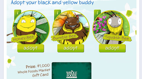 Whole Foods 'Share the Buzz' Sweeps Facebook Applet